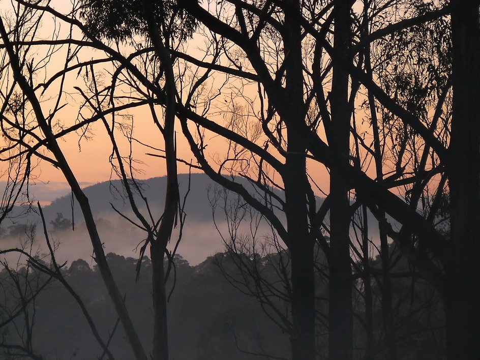 misty-tasmanian-morning