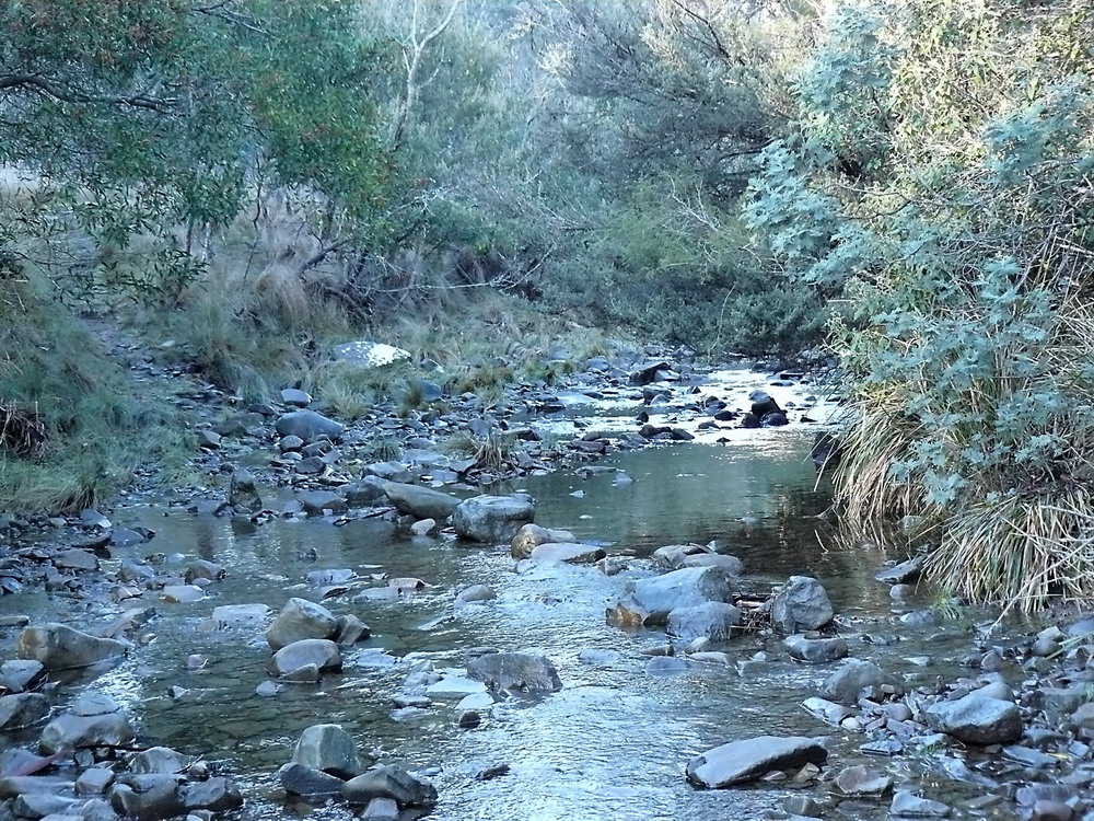 the creek.