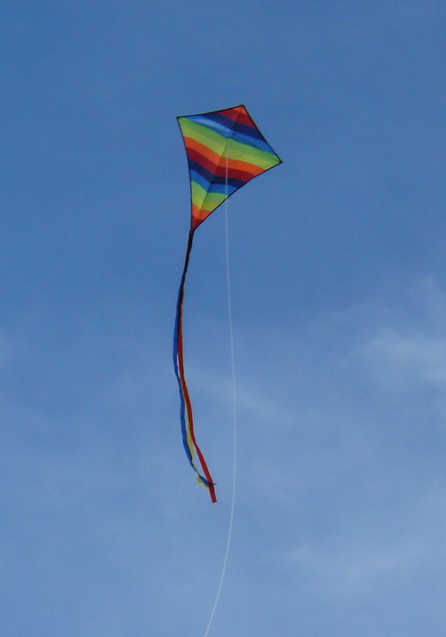 Kites make me smile.