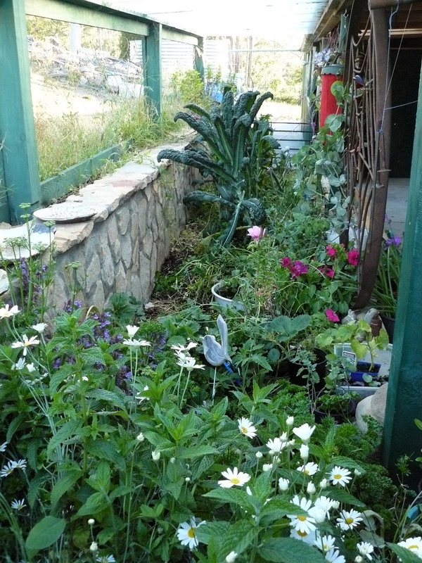 I like to mix flowers, herbs and vegies all together in the one garden. a potter with a potager garden.