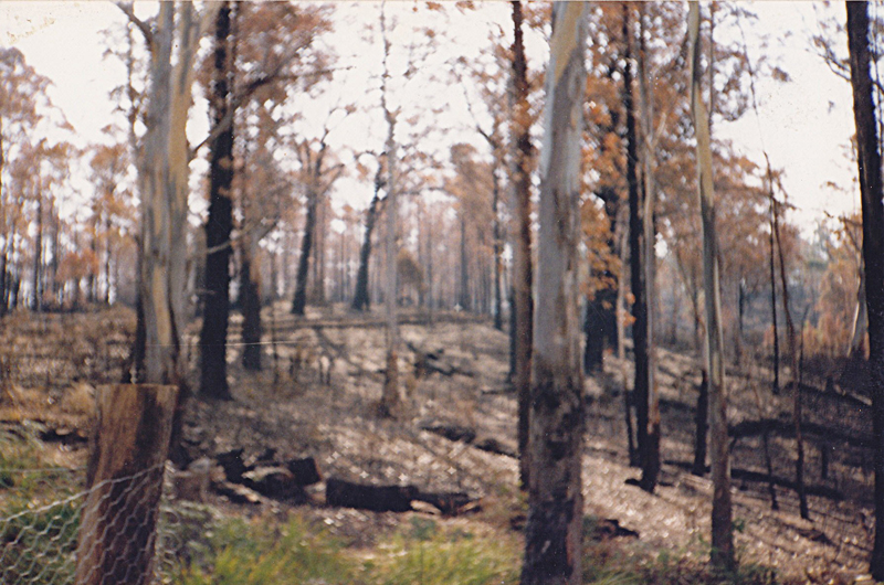 1992 bushfire