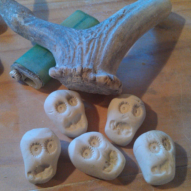 skulls an antler