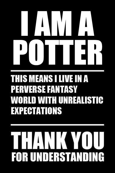 I am a potter