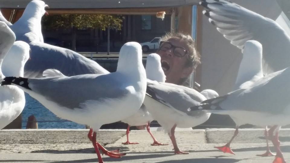 Michael Keirghery and seagulls