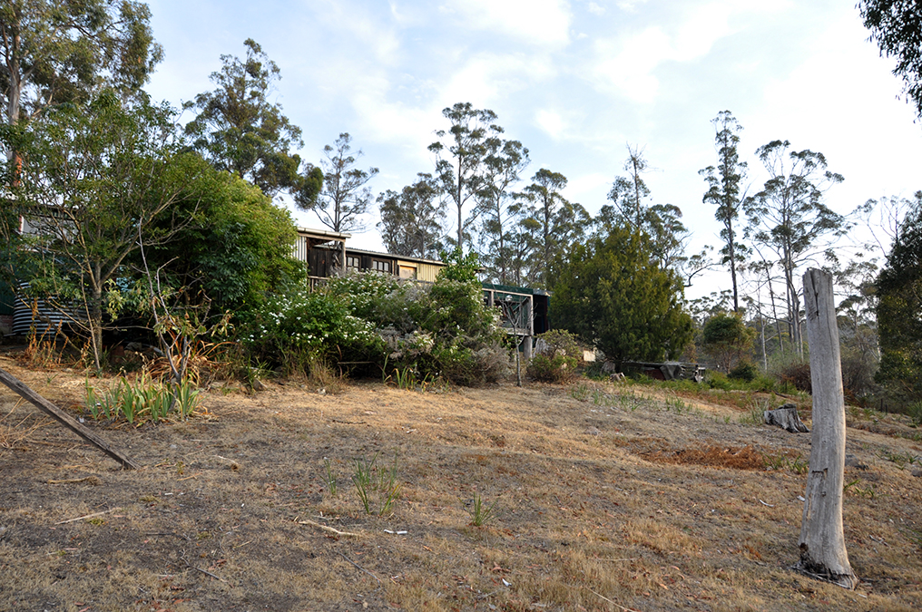 view of the back of the house from the bushline showing effects of the drought